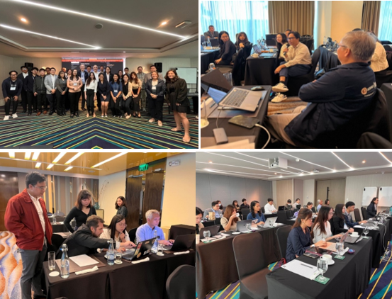 UNDESA Conducts In-Depth Training Workshop in the Philippines on Policy Simulations