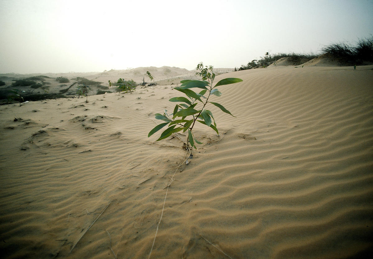 Scoping mission to Dakar completed