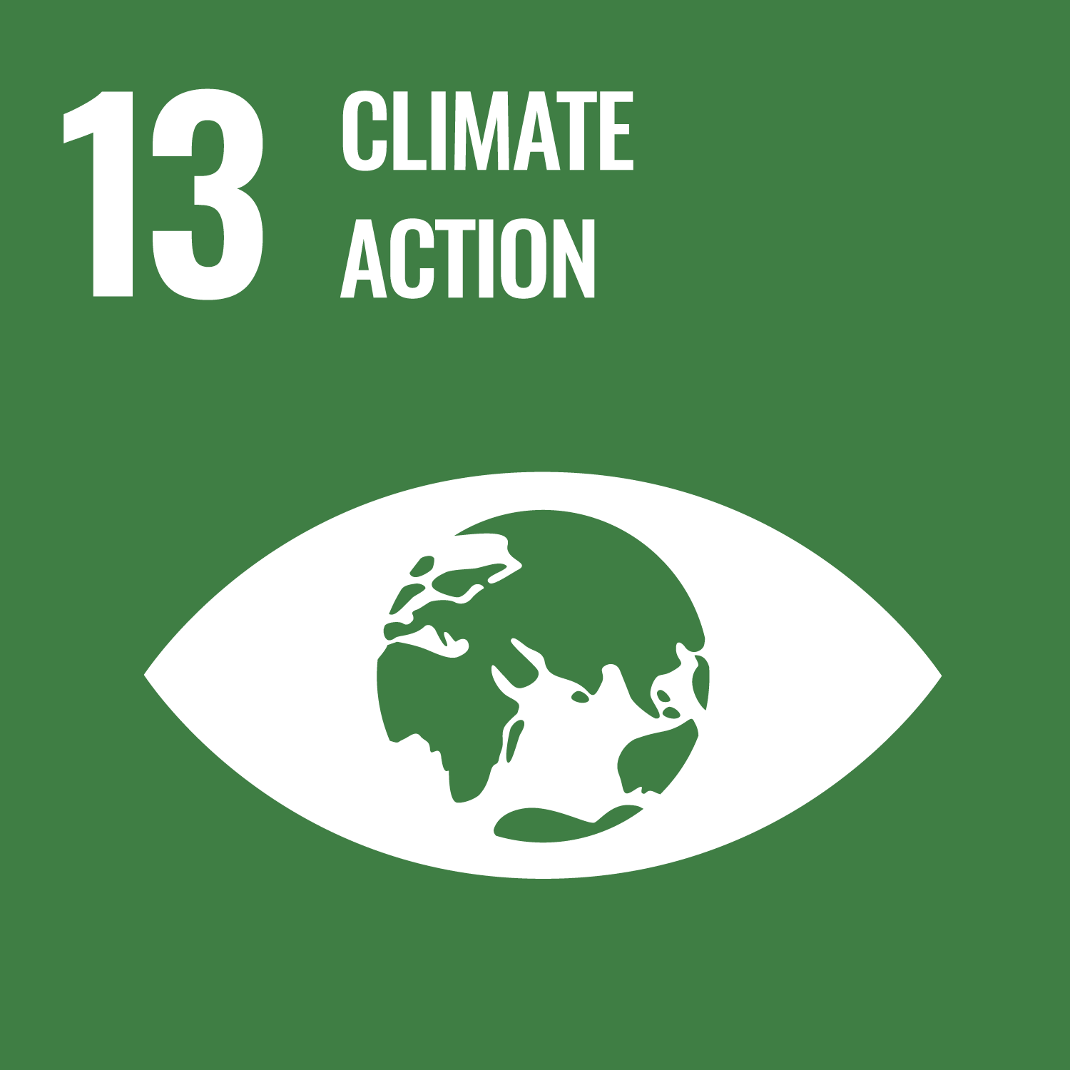 Official SDG 13 icon